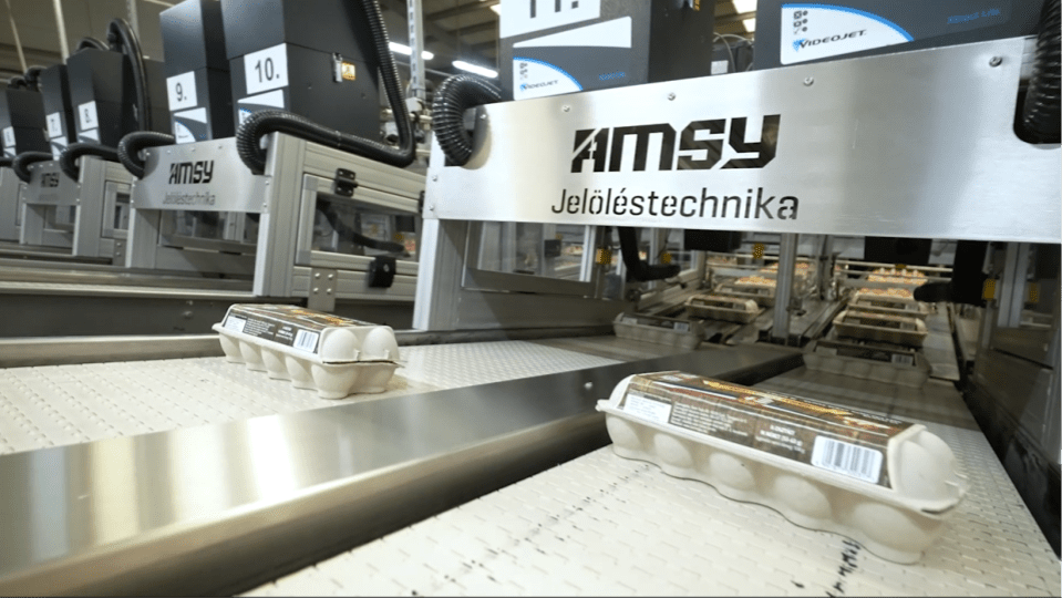 AMSY - Videojet lézer tojásdoboz jelölés