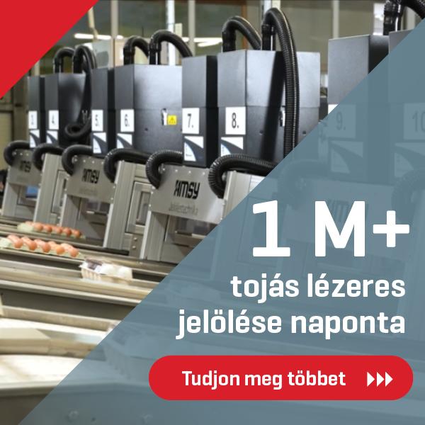 Farm tojás